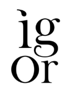 IGOR logo