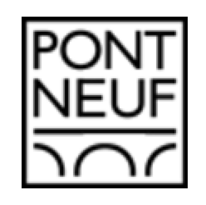 PONT NEUF logo